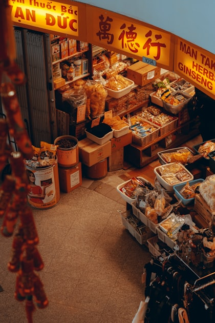 Understanding Traditional Medicine